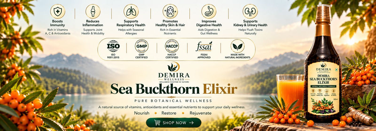 Demira Wellness